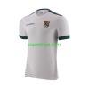 Billiga Fotbollströjor Bolivia Borta tröja 2023 Kortärmad